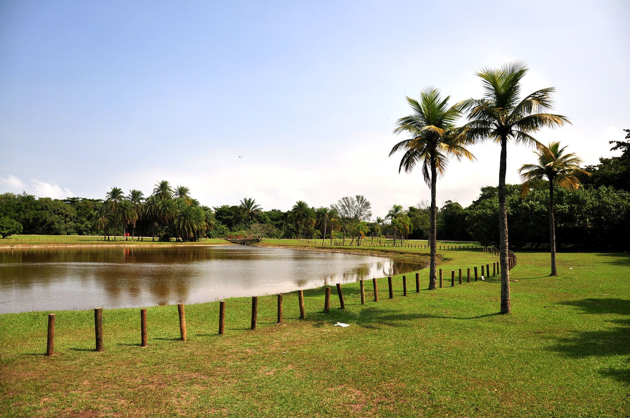 Parque Natural Municipal Bosque da Barra