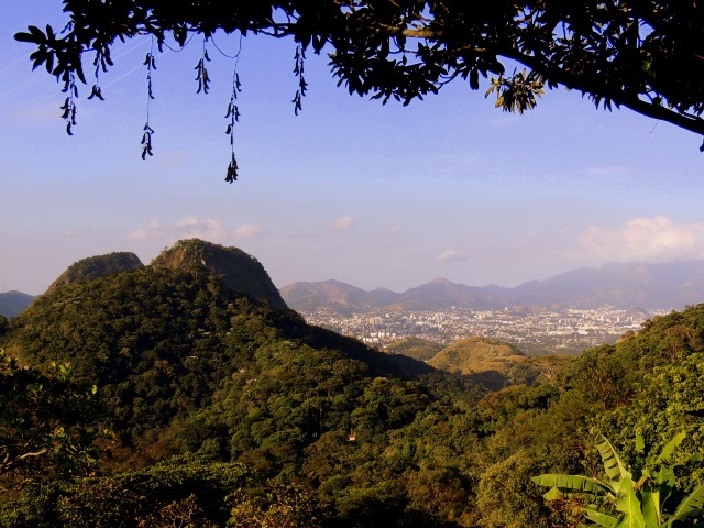 Parque Estadual da Pedra Branca